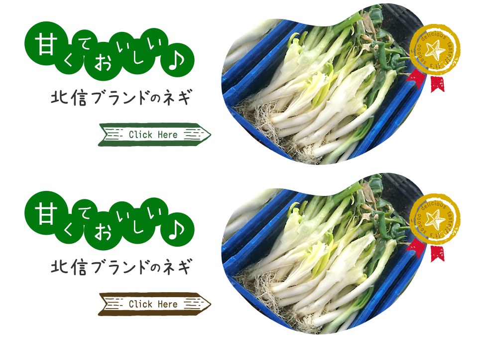 leek_banner